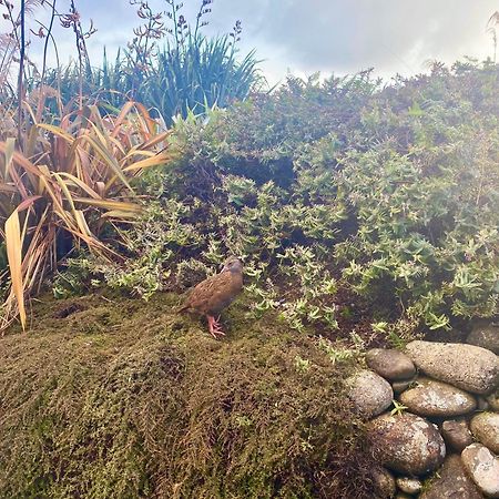 Wild Weka Eco Stay - Off-Grid 4Wd Recommended Waimarie Exteriér fotografie